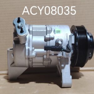 ACY08035