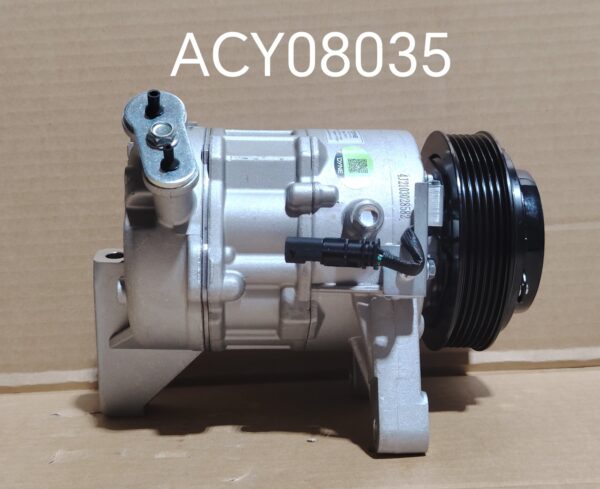 ACY08035