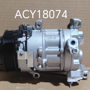 ACY18074