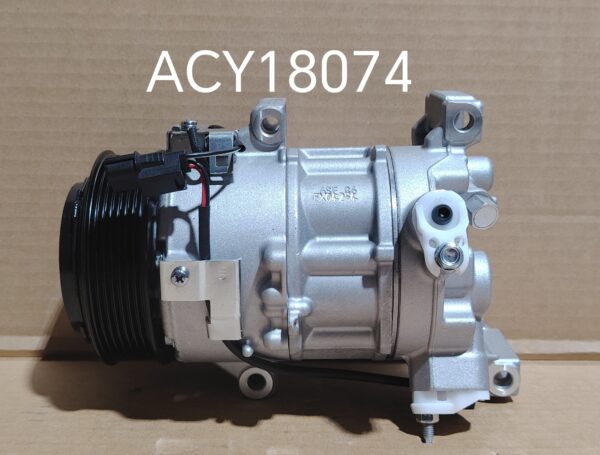 ACY18074