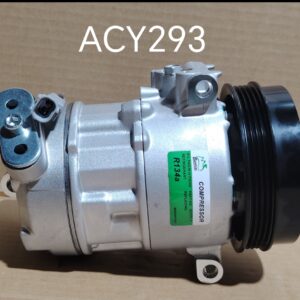 ACY293