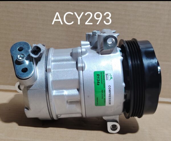 ACY293